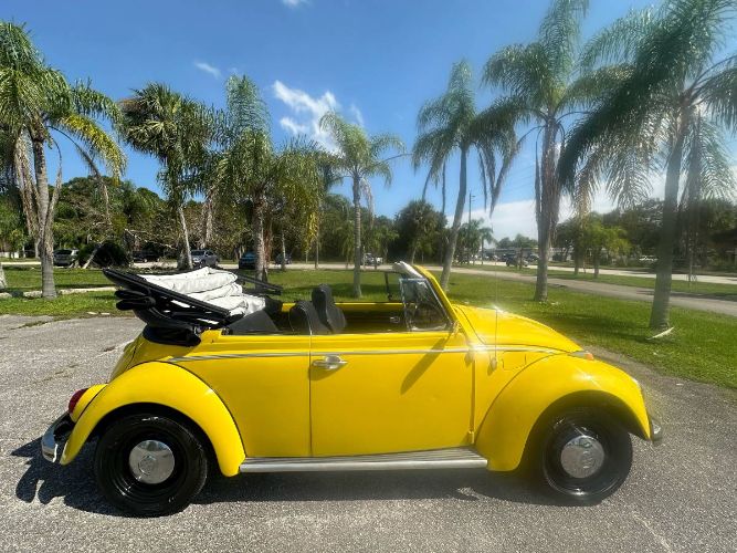 Unknown-Beetle-1968-Yellow-13