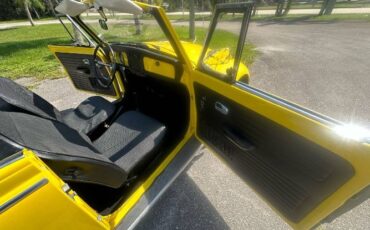 Unknown-Beetle-1968-Yellow-14