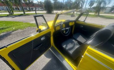 Unknown-Beetle-1968-Yellow-15