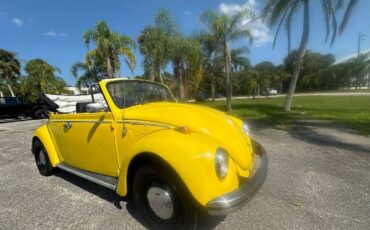 Unknown-Beetle-1968-Yellow-16