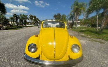 Unknown-Beetle-1968-Yellow-17