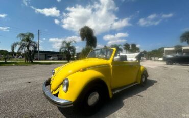 Unknown-Beetle-1968-Yellow-18