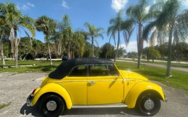 Unknown-Beetle-1968-Yellow-5