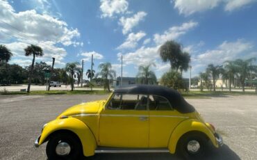 Unknown-Beetle-1968-Yellow-6