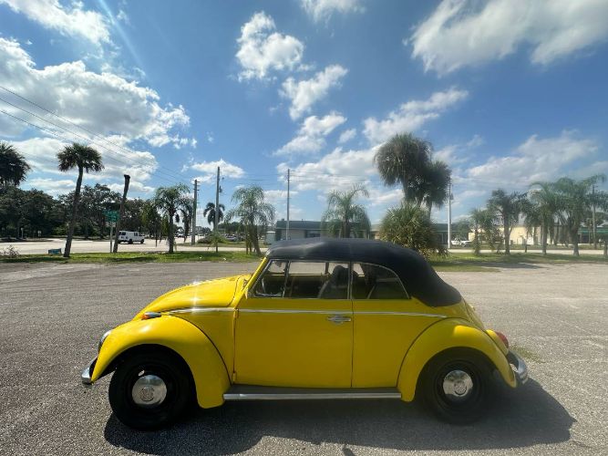 Unknown-Beetle-1968-Yellow-6