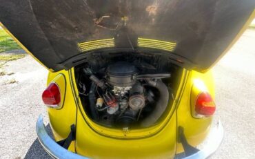 Unknown-Beetle-1968-Yellow-8