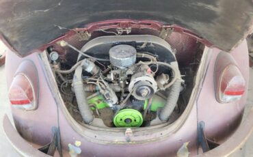 Unknown-Beetle-1969-1