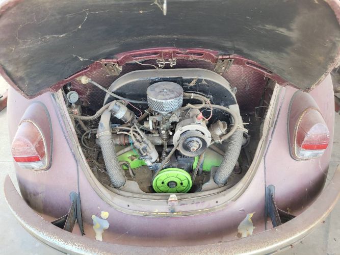Unknown-Beetle-1969-1