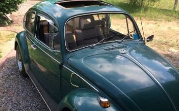 Unknown-Beetle-1969-1