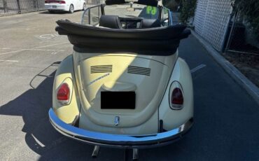 Unknown-Beetle-1969-1