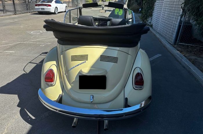 Unknown-Beetle-1969-1