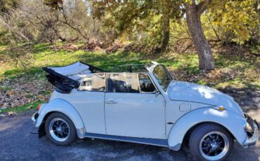 Unknown-Beetle-1969-10