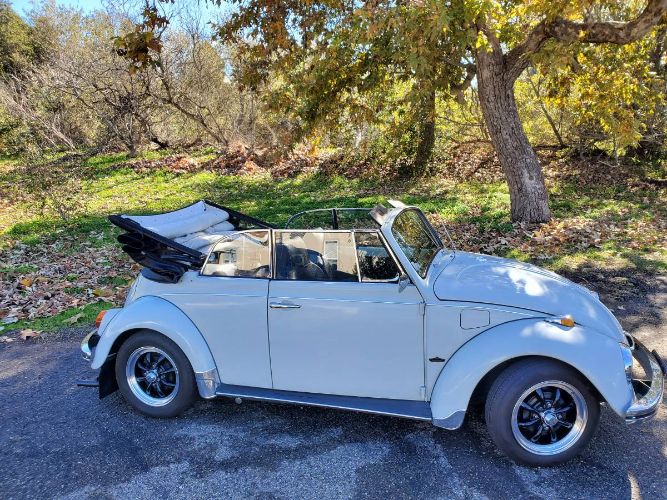Unknown-Beetle-1969-10