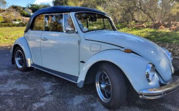 Unknown-Beetle-1969-11