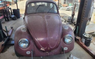 Unknown-Beetle-1969-2