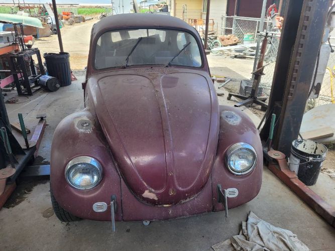 Unknown-Beetle-1969-2