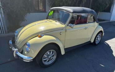 Unknown-Beetle-1969-3