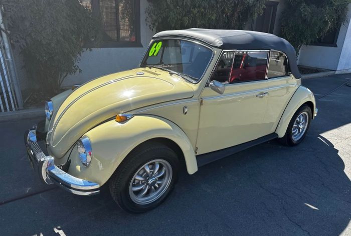 Unknown-Beetle-1969-3