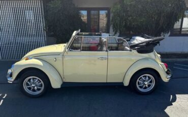 Unknown-Beetle-1969