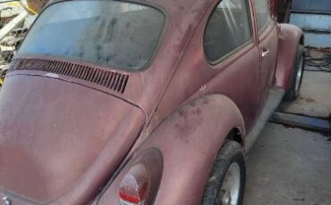 Unknown-Beetle-1969-4