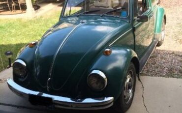 Unknown-Beetle-1969-4