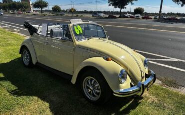 Unknown-Beetle-1969-4