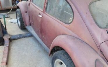 Unknown-Beetle-1969-5