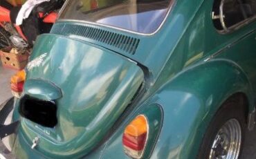 Unknown-Beetle-1969-5