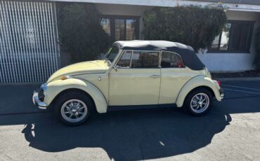 Unknown-Beetle-1969-5