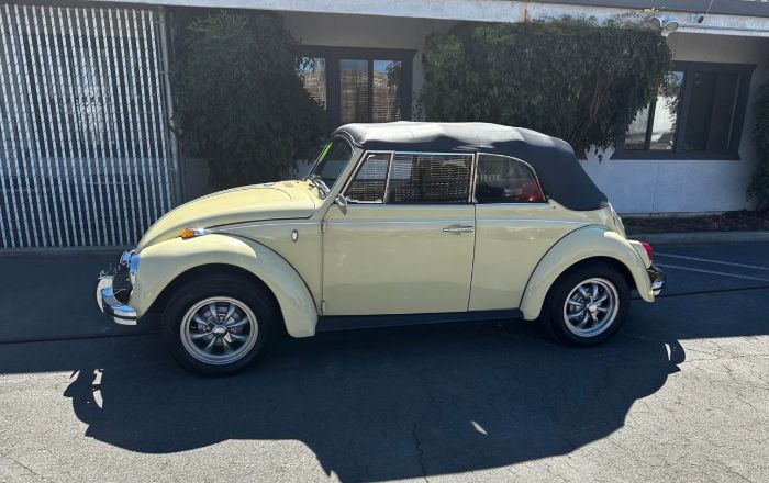 Unknown-Beetle-1969-5