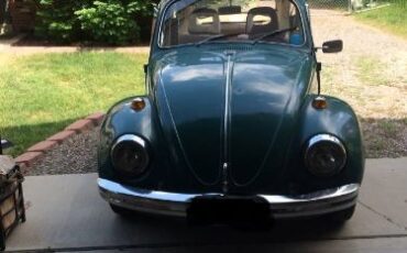 Unknown-Beetle-1969-7