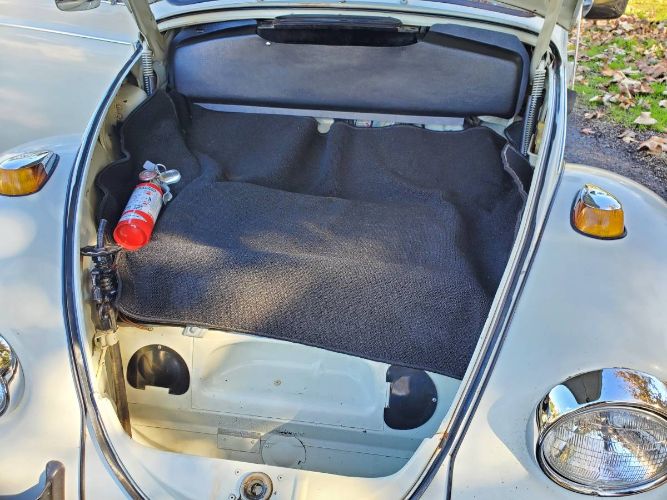 Unknown-Beetle-1969-9