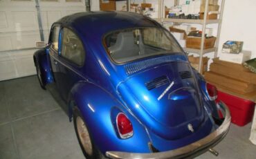Unknown-Beetle-1969-Blue-1