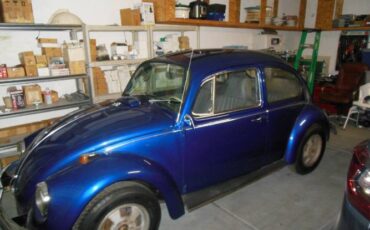 Unknown-Beetle-1969-Blue