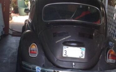 Unknown-Beetle-1969-Chocolate-11
