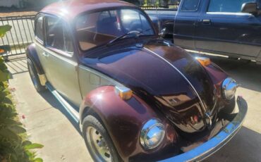 Unknown-Beetle-1969-Custom-1