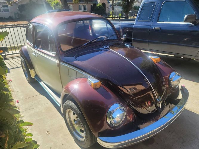 Unknown-Beetle-1969-Custom-1