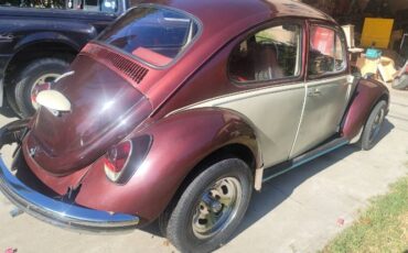 Unknown-Beetle-1969-Custom-2