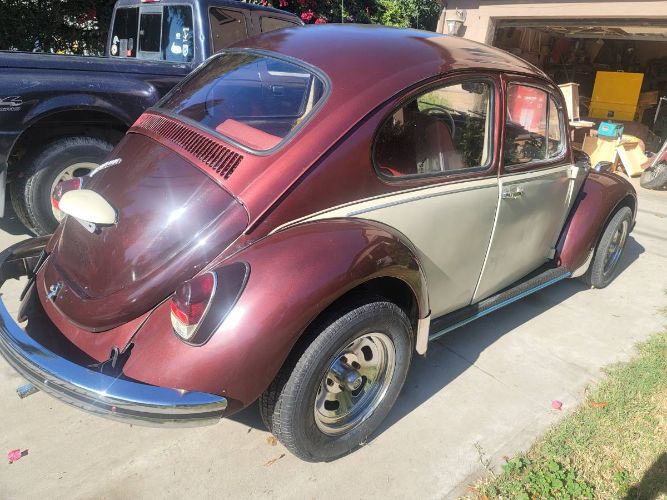 Unknown-Beetle-1969-Custom-2