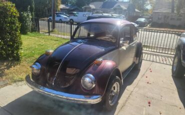 Unknown-Beetle-1969-Custom