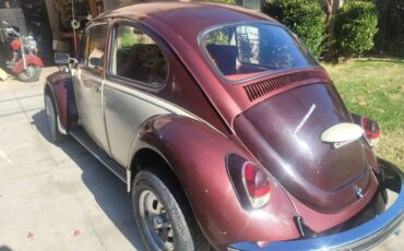 Unknown-Beetle-1969-Custom-4