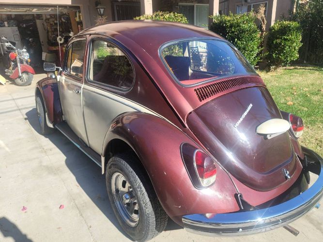 Unknown-Beetle-1969-Custom-4