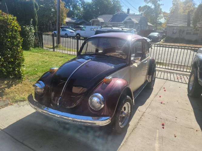 Unknown-Beetle-1969-Custom