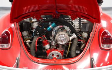 Unknown-Beetle-1969-Red-Black