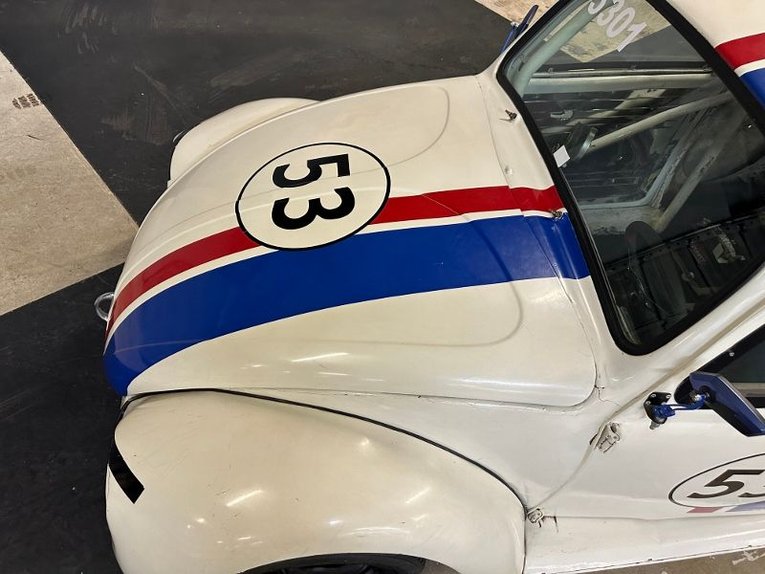 Unknown-Beetle-1969-White-Black-Gray-11