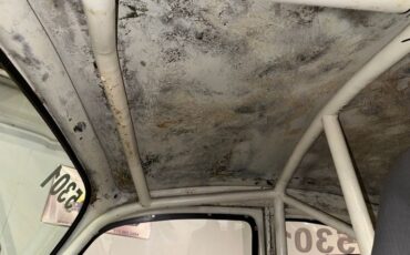 Unknown-Beetle-1969-White-Black-Gray-23
