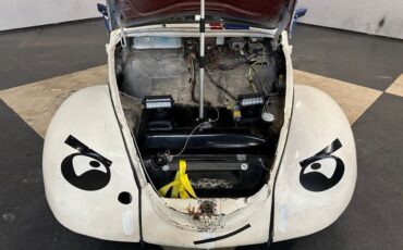Unknown-Beetle-1969-White-Black-Gray-3