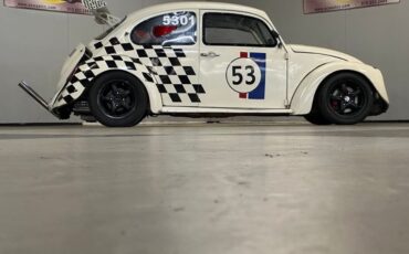Unknown-Beetle-1969-White-Black-Gray-34