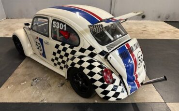 Unknown-Beetle-1969-White-Black-Gray-40