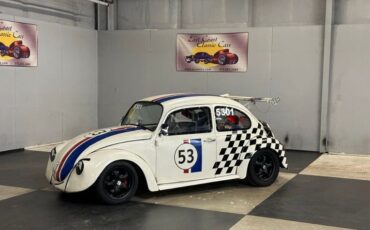 Unknown-Beetle-1969-White-Black-Gray-44